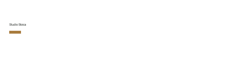 Studio Stoica logo